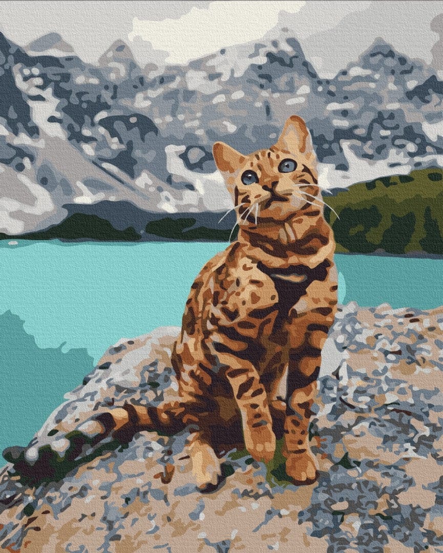 painting by numbers