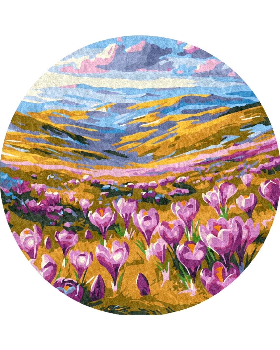 painting by numbers