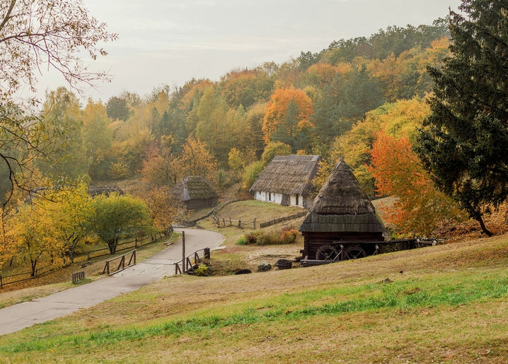 Thatched-roof cottages and an old wooden windmill in autumn foliage at Pyrohiv open-air museum