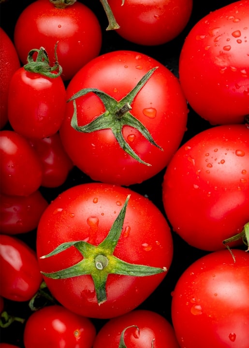 Close-up of ripe red tomatoes covered in water droplets
