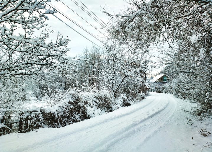 Schneebedeckter Landweg mit raureifbedeckten Bäumen bei Petrykivka