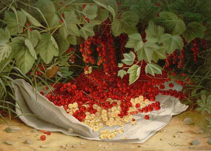 Still life of red and white currants spilled on a linen cloth beneath leaves, by Virginia Granberry