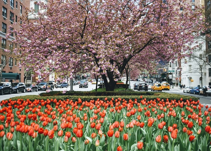 photo spring postcard
