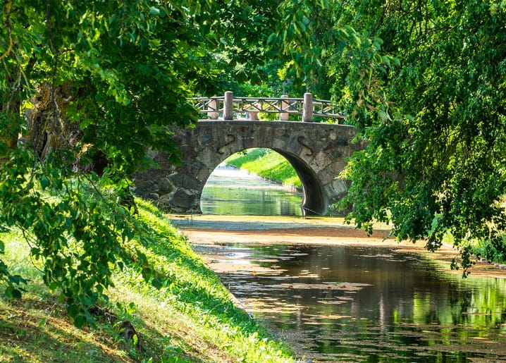 Stone arch bridge over a calm forest canal framed by green branches