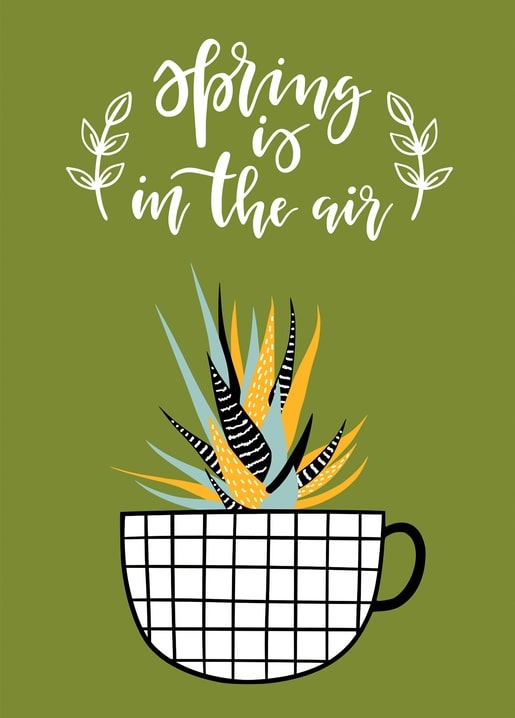 Illustrated postcard of a striped succulent in a checkered mug with ‘Spring Is in the Air’ lettering