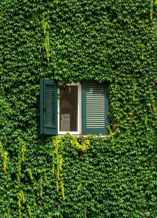 Листівка Літнє натхнення / Видавничий дім "Золота Птаха"