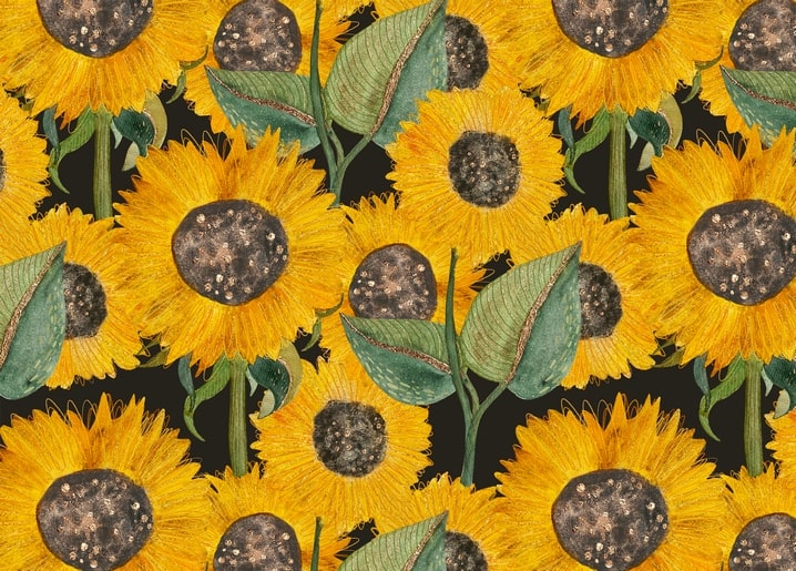 Repeating botanical pattern of sunflowers with dark centers on a near-black background