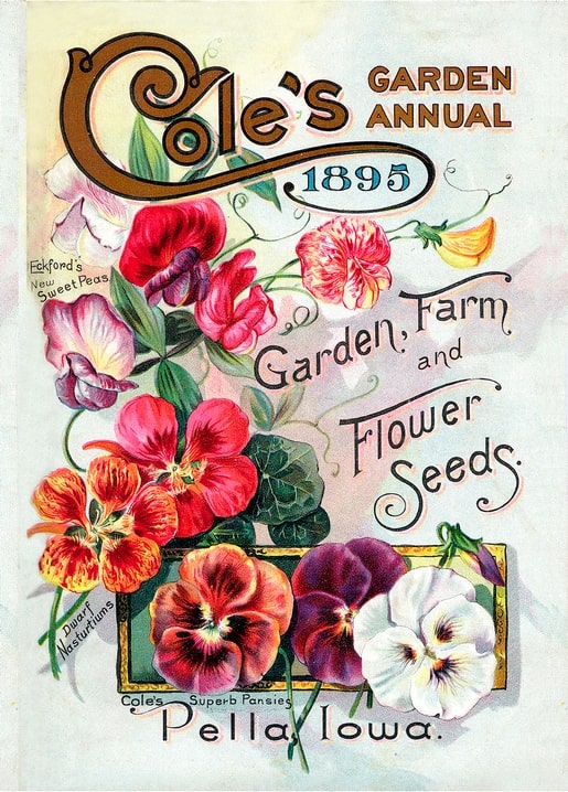 Titelseite von Cole's Garden Annual 1895 mit Wicken, Kapuzinerkresse und Stiefmütterchen