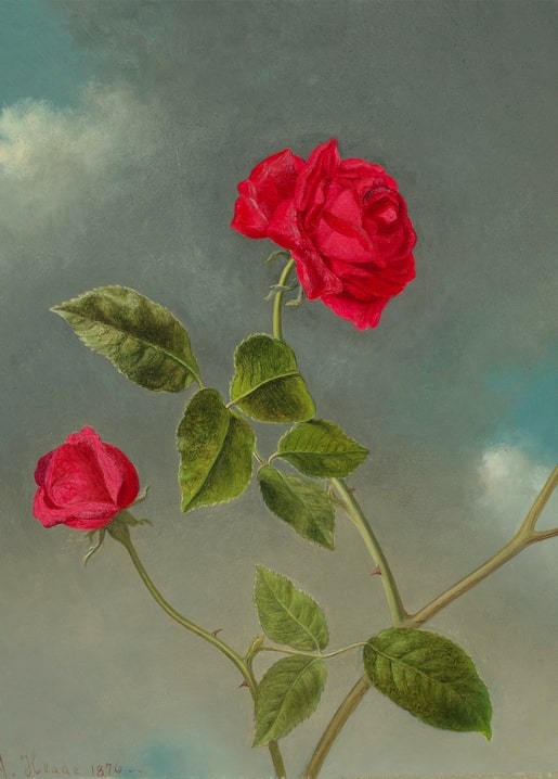Zwei rote Rosen an dornigem Stiel vor stürmischem Himmel, Heade, 1879