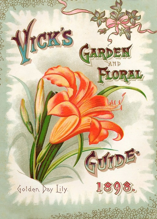 Cover von Vick's Garden and Floral Guide 1898 mit einer einzelnen orangen Taglilie