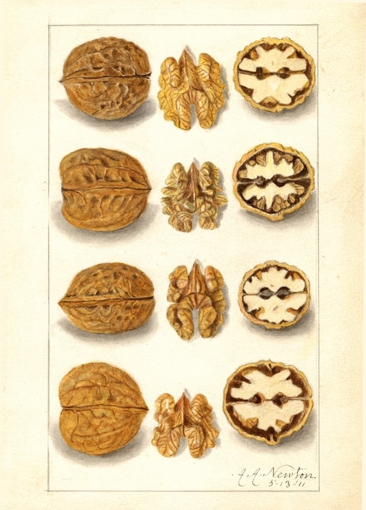 christmas retro vintage postcard