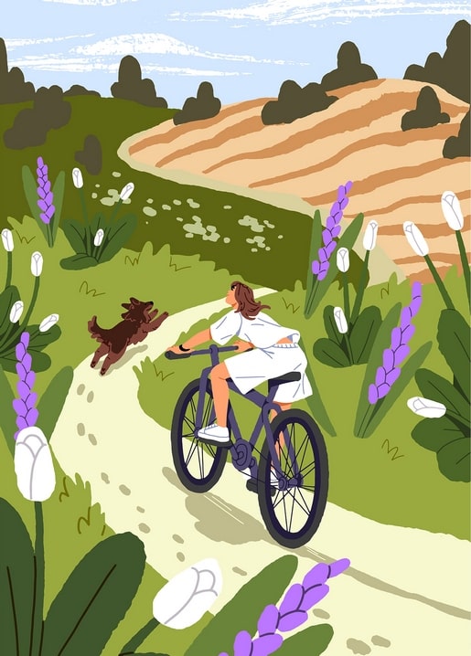 Illustration of a woman cycling past purple lupine flowers with her dog running alongside