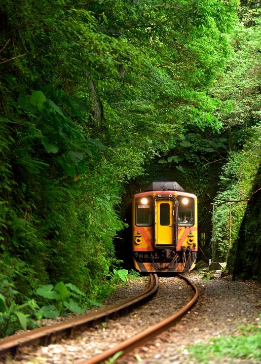 Small yellow train passing through a tunnel of dense green forest