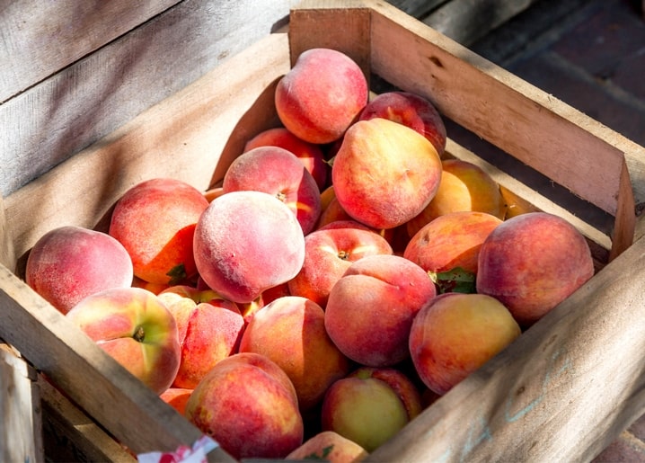 Листівка Літо - Summer postcard / Видавничий дім "Золота Птаха"