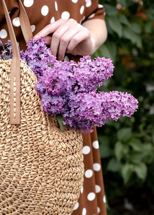 Листівка Літо - Summer postcard / Видавничий дім "Золота Птаха"