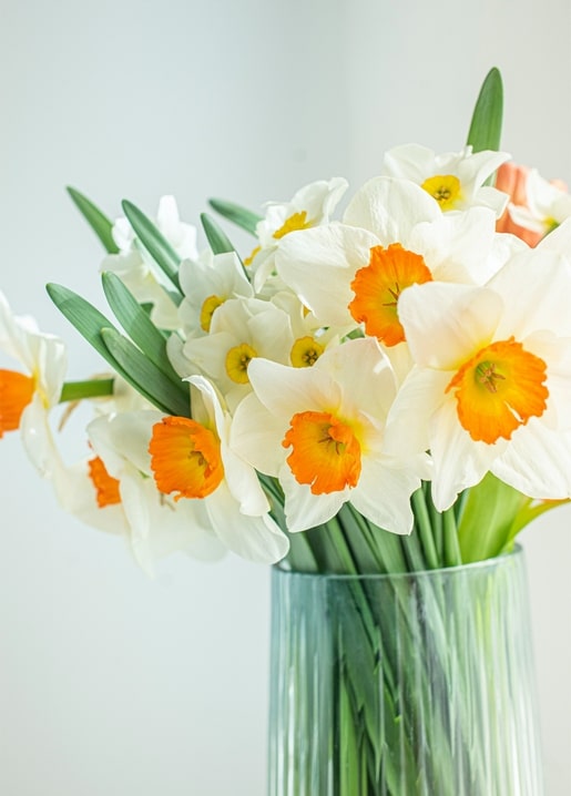 postcards sunny spring