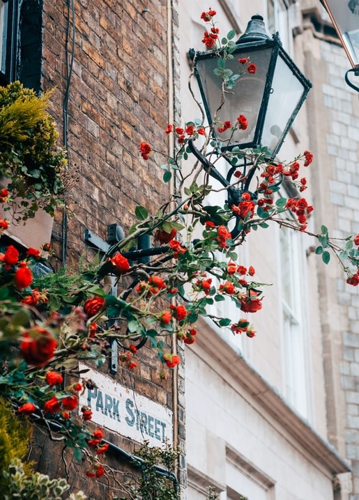 postcards sunny spring