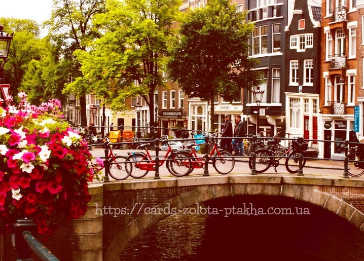 Червоні велосипеди на мосту з петуніями над амстердамським каналом