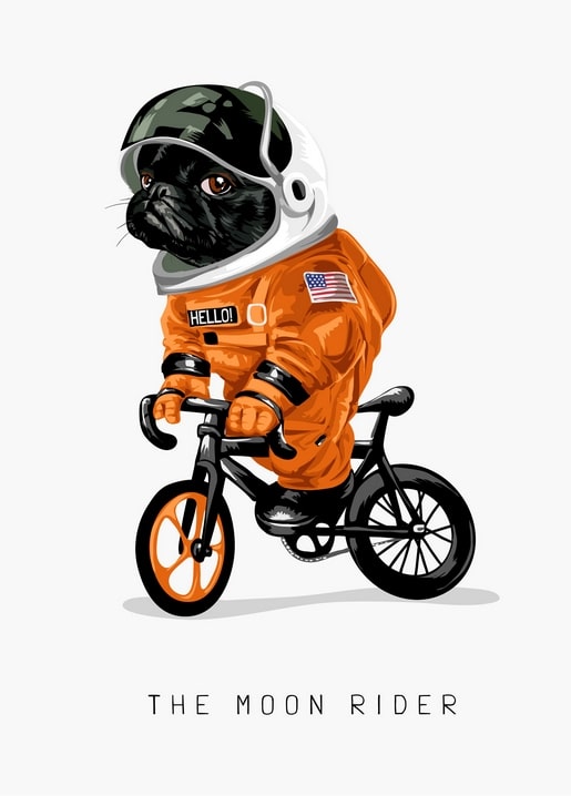 Schwarzer Mops im orangen Astronautenanzug auf einem BMX-Rad