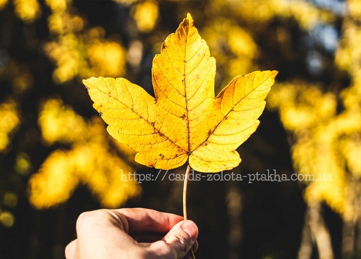 Postkarte Herbst - Herbstpostkarten / Verlag Zolota Ptakha