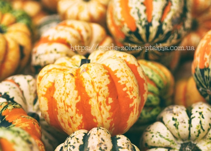 Листівка Красива Осінь / Видавничий дім "Золота Птаха"