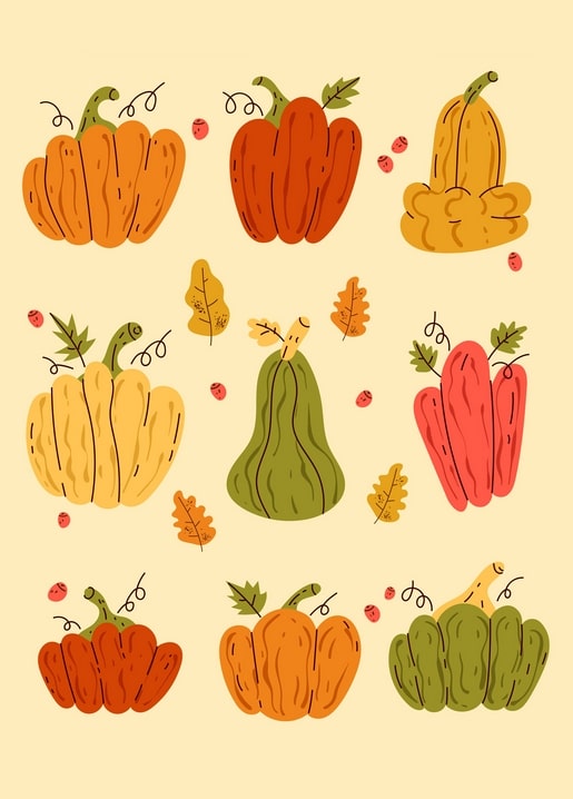 Illustration grid of nine autumn pumpkins and squash in orange, red, and yellow with leaves and berries