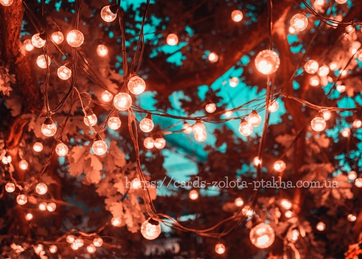 Warm string lights glowing among autumn leaves and branches against a teal sky