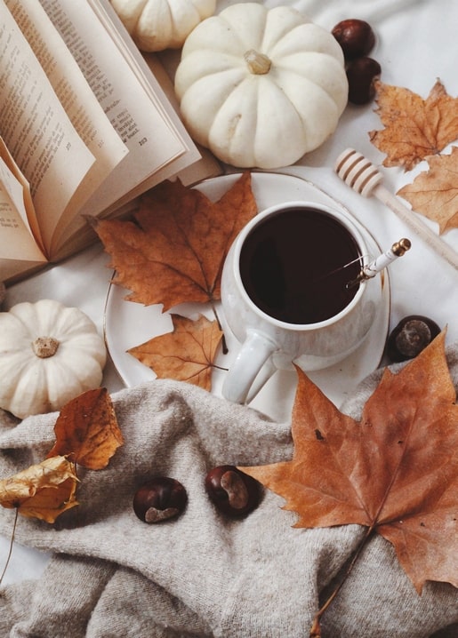 Flatlay of an open book, coffee cup, white pumpkins, maple leaves and chestnuts