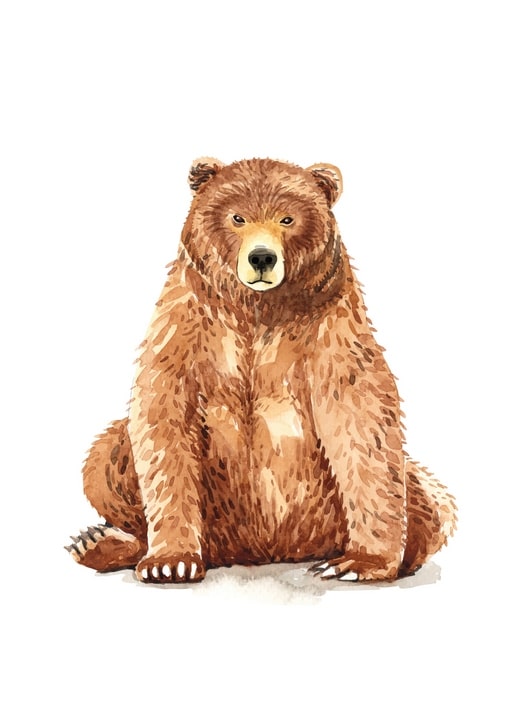 Aquarellillustration eines braunen Bären, der mit ernstem Blick sitzt
