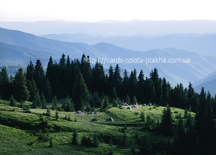 Tents pitched in a green mountain meadow with misty Carpathian ridges beyond