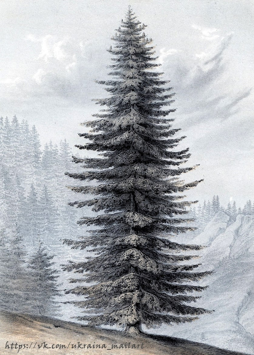 Листівка Різдвяні вінтаж / Видавничий дім "Золота Птаха"