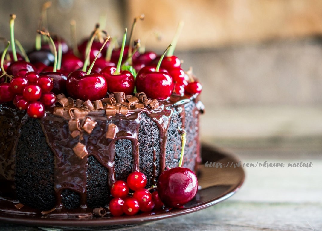 Schokoladentorte mit Kirschen und roten Johannisbeeren auf dunklem Teller