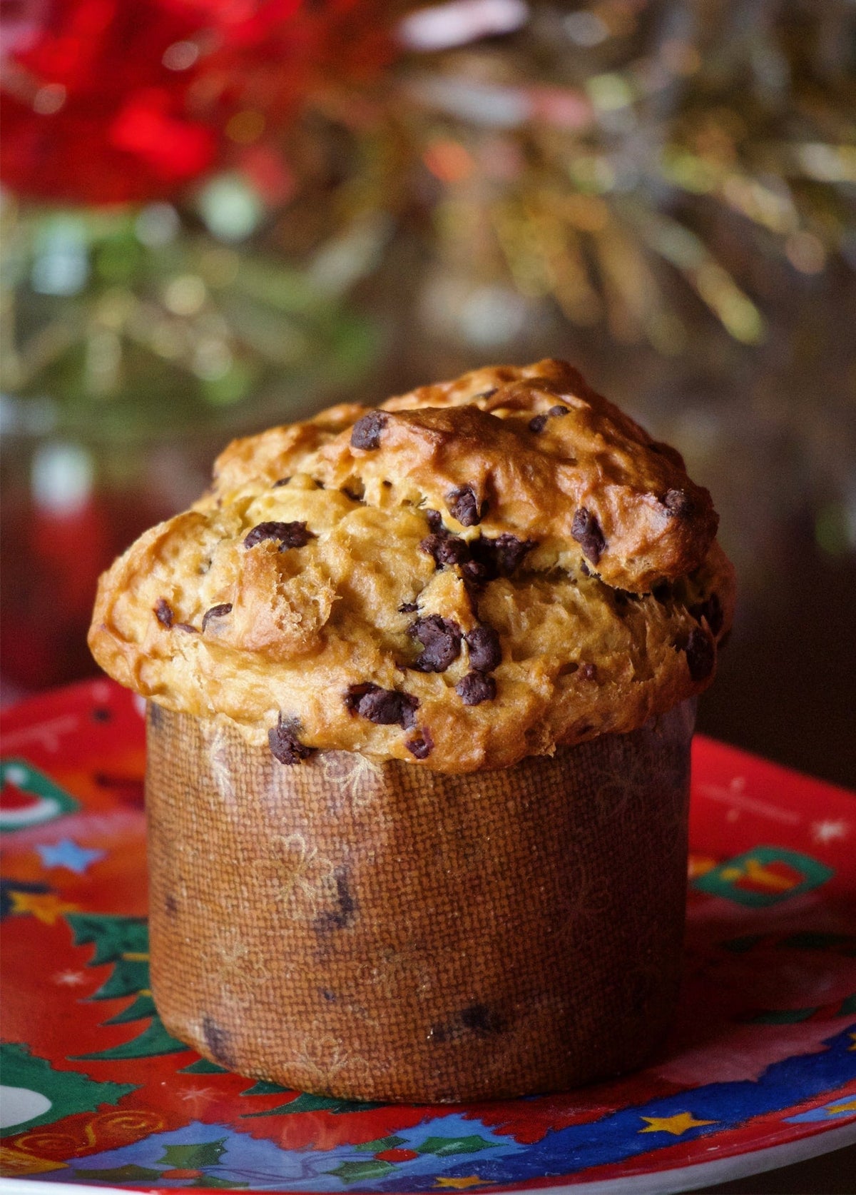 Chocolate chip panettone on a red and green Christmas plate