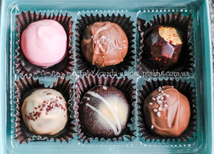 Sechs verschiedene Pralinen in türkiser Geschenkbox, von oben fotografiert