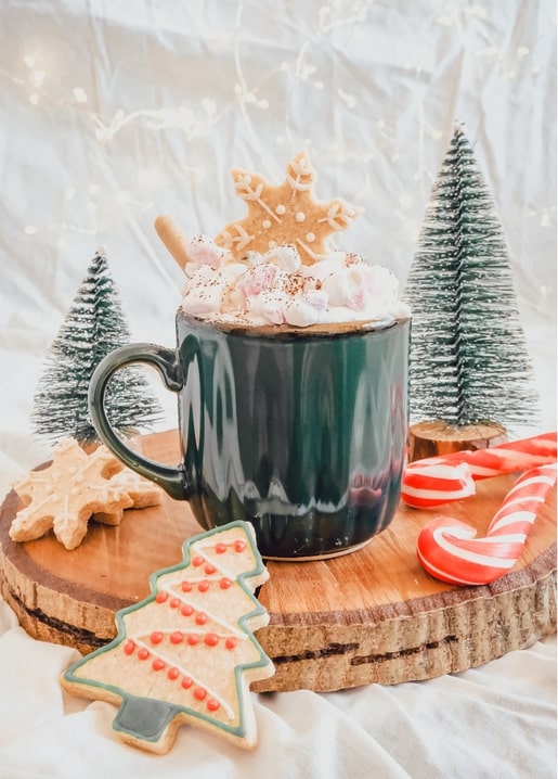 Mug of hot cocoa with whipped cream and gingerbread snowflake cookie, candy canes, and mini Christmas trees