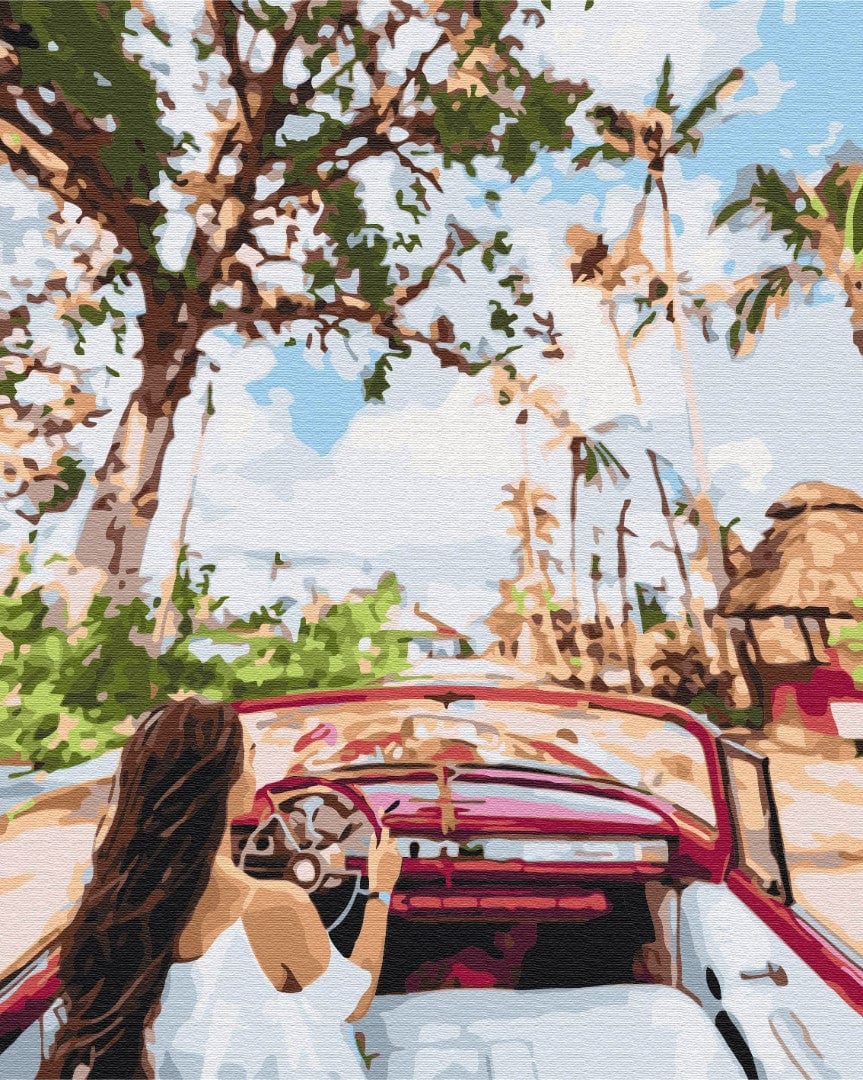 Paint-by-numbers scene of a woman driving a red vintage convertible along a palm-lined Cuban street