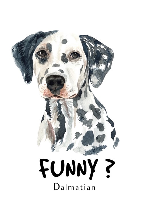 Aquarell-Porträt eines Dalmatiner-Welpen mit der Unterschrift „Lustig?“ im Postkartendesign.