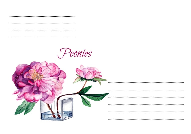 Конверт Літо / Видавничій дім "Золота Птаха"