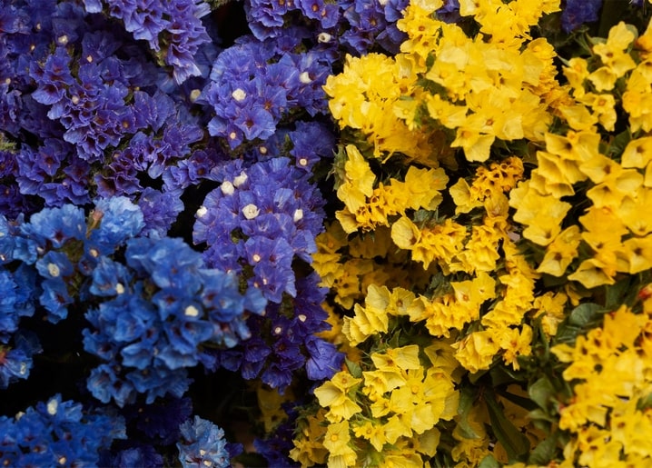 Листівка Затишна осінь / Видавничий дім "Золота Птаха"