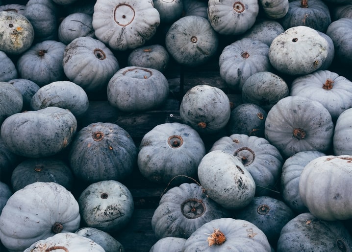 Листівка Затишна осінь / Видавничий дім "Золота Птаха"