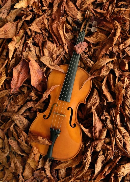 Листівка Затишна осінь / Видавничий дім "Золота Птаха"