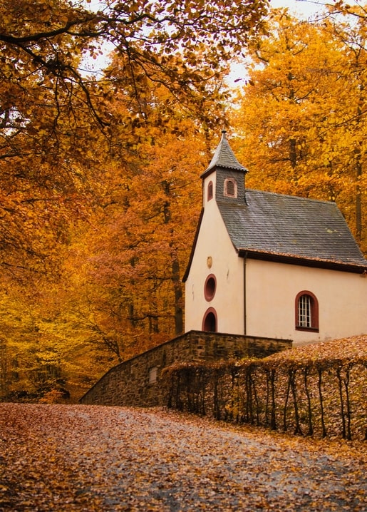 Листівка Затишна осінь / Видавничий дім "Золота Птаха"