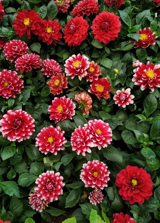 Листівка Затишна осінь / Видавничий дім "Золота Птаха"