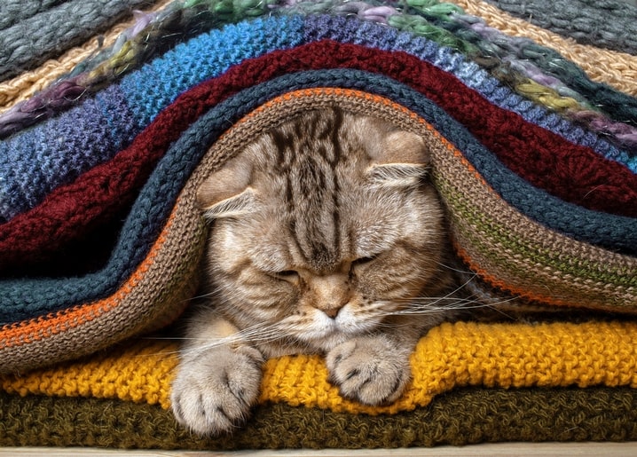 Листівка Затишна осінь / Видавничий дім "Золота Птаха"