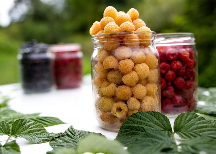 Листівка Затишна осінь / Видавничий дім "Золота Птаха"