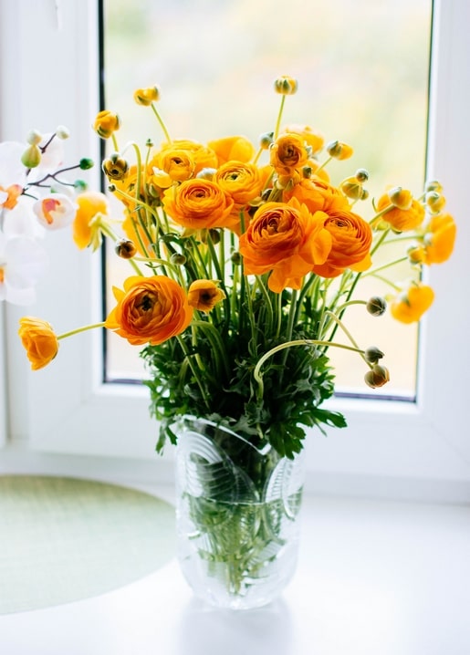 Листівка Затишна осінь / Видавничий дім "Золота Птаха"