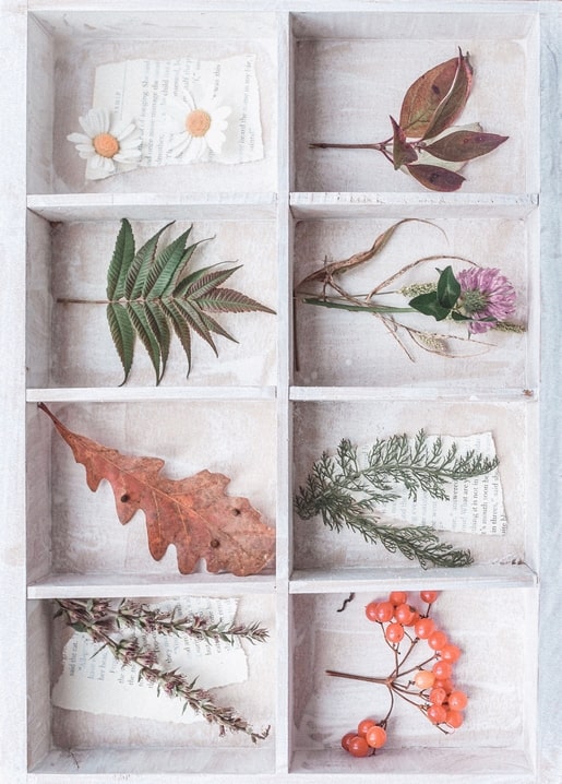 Листівка Затишна осінь / Видавничий дім "Золота Птаха"