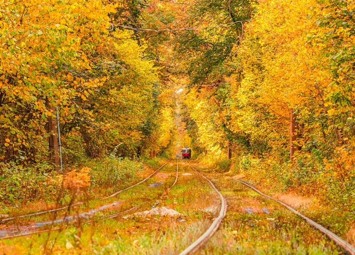 Листівка Затишна осінь / Видавничий дім "Золота Птаха"