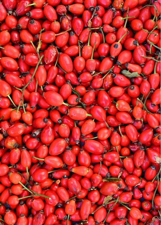 Листівка Затишна осінь / Видавничий дім "Золота Птаха"