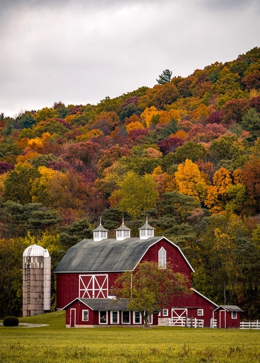 Листівка Затишна осінь / Видавничий дім "Золота Птаха"